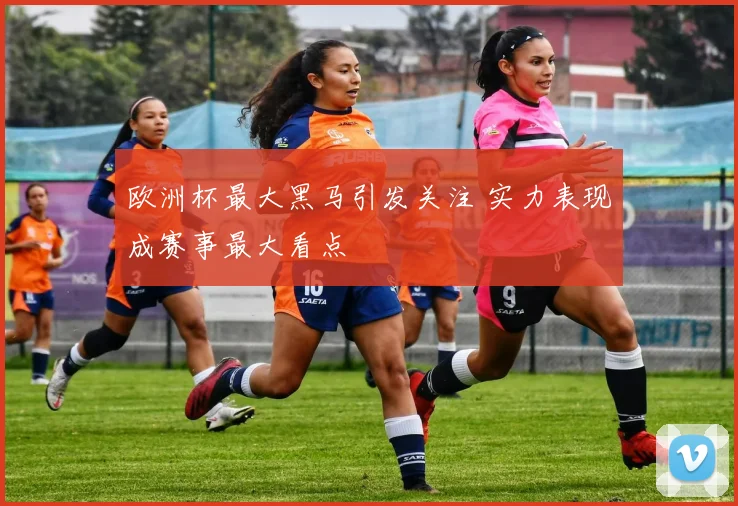 欧洲杯最大黑马引发关注 实力表现成赛事最大看点
