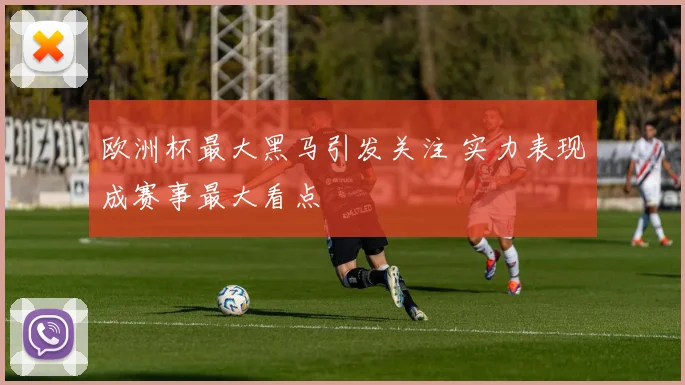 欧洲杯最大黑马引发关注 实力表现成赛事最大看点